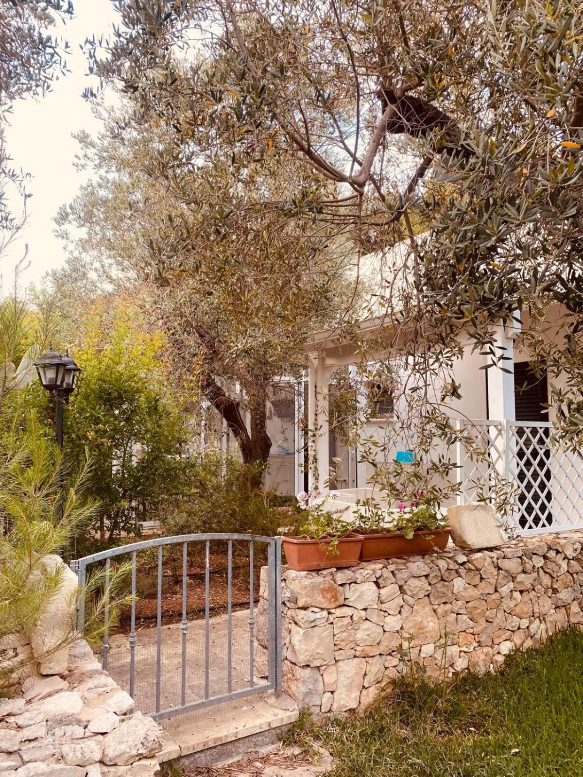 بورتو سيساريو B&B Quasimare المظهر الخارجي الصورة