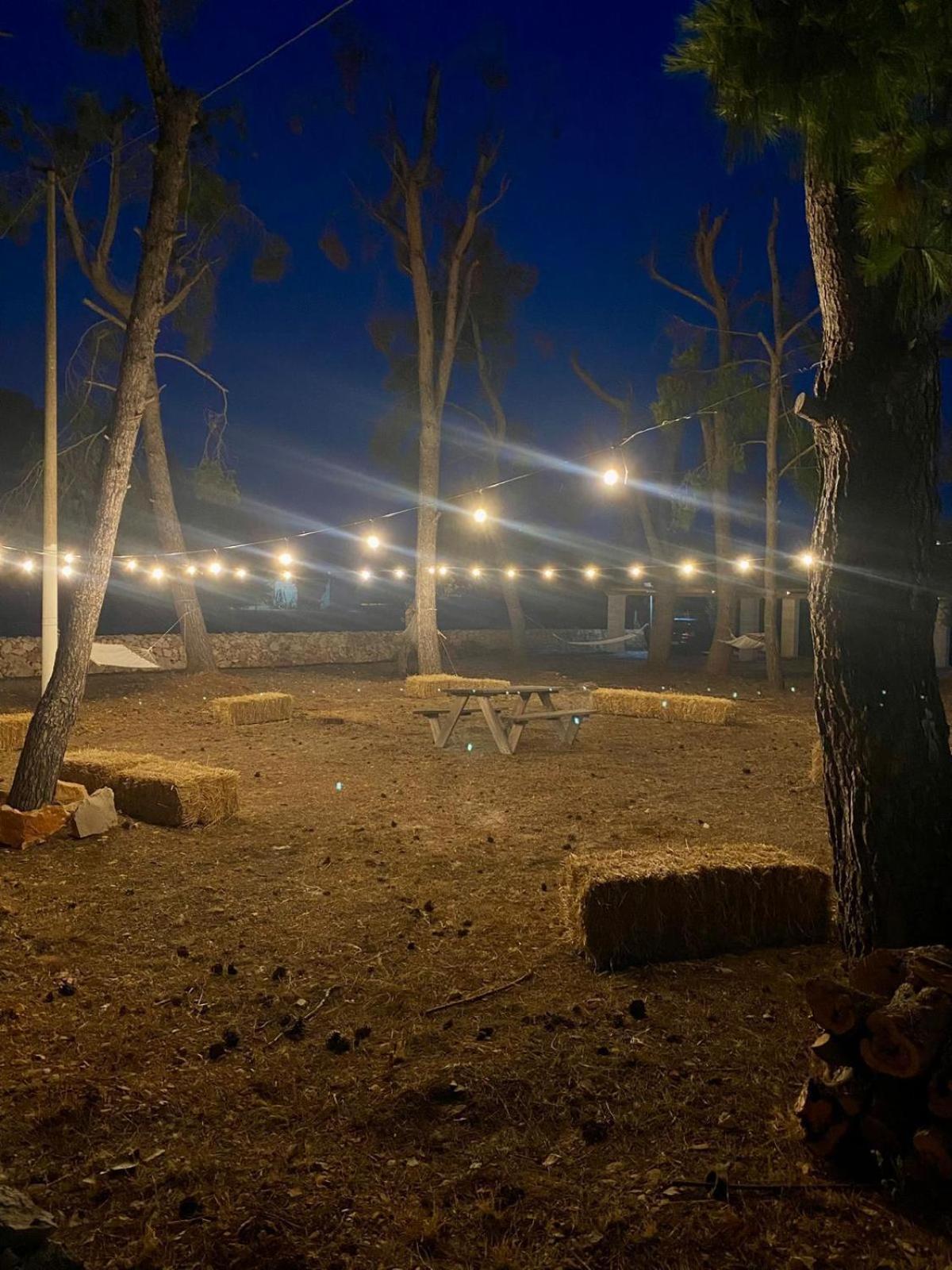 بورتو سيساريو B&B Quasimare المظهر الخارجي الصورة