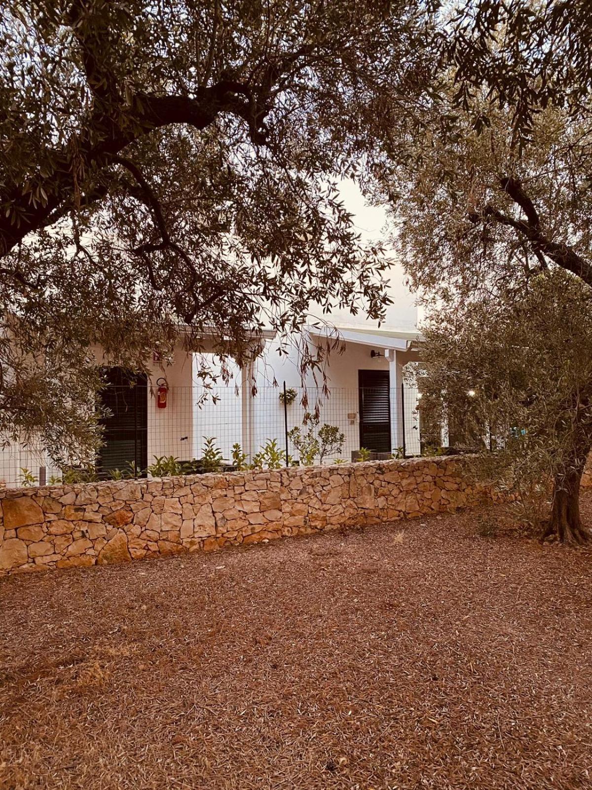 بورتو سيساريو B&B Quasimare المظهر الخارجي الصورة